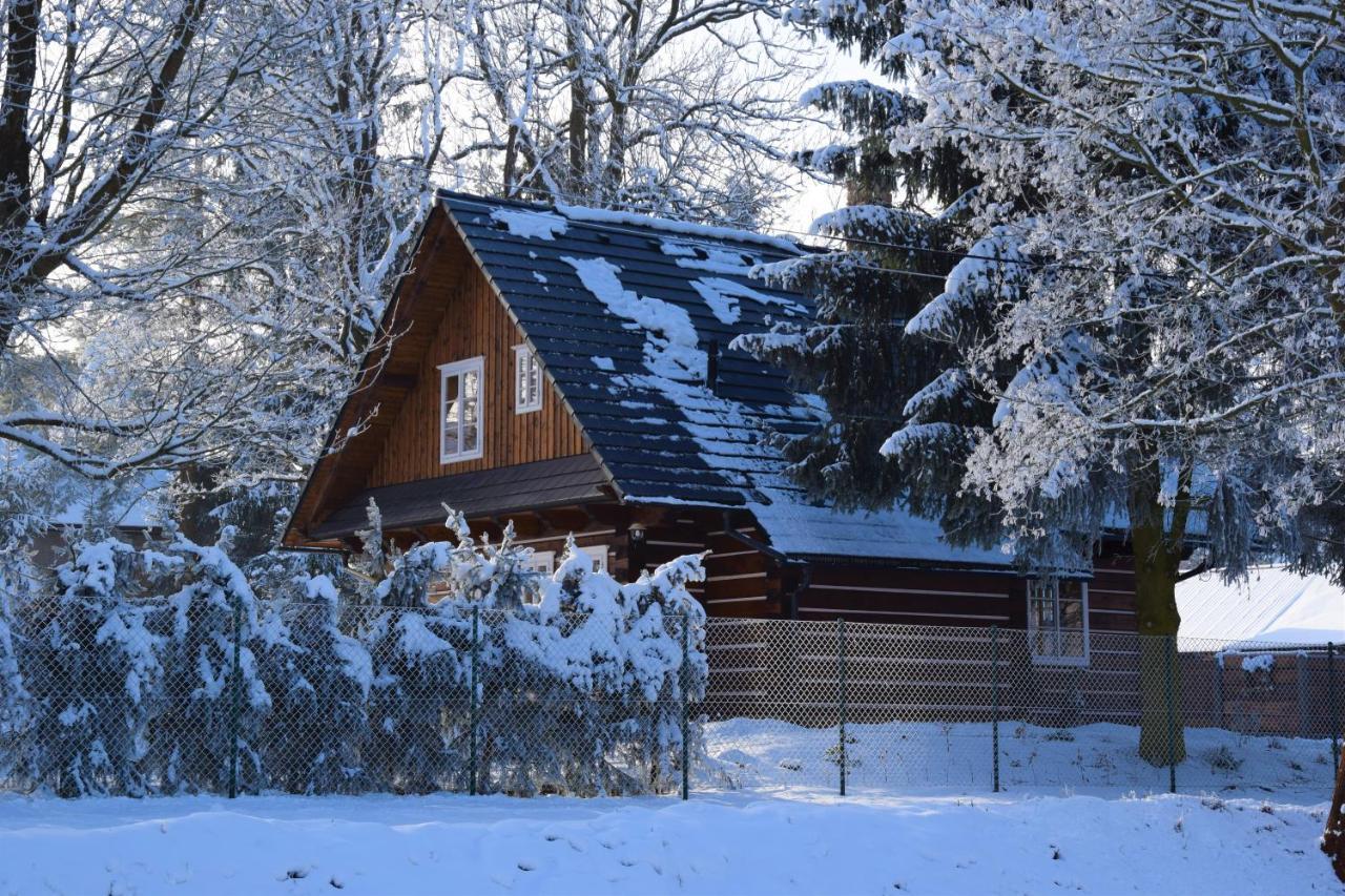 Villa Roubenka Stepanka à Svratka Extérieur photo